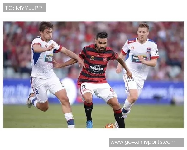 惠灵顿与珀斯的精彩对决分析及赛事前瞻